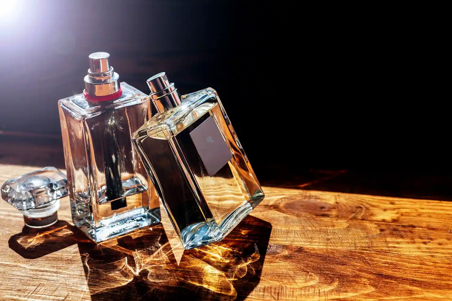 Por que investir em colônias