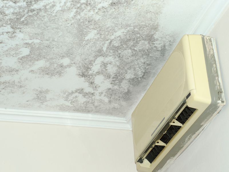 alta umidade do ar acarreta algum problema de saúde​ humana