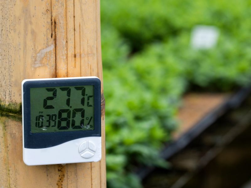 alta umidade do ar acarreta algum problema de saúde​